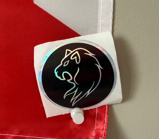 PEGATINA HOLOGRÁFICA ESCUDO ARRO